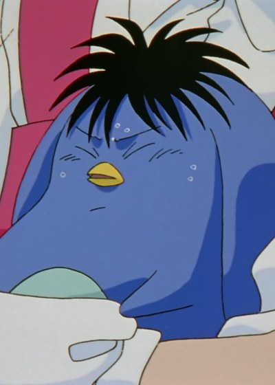 Puu