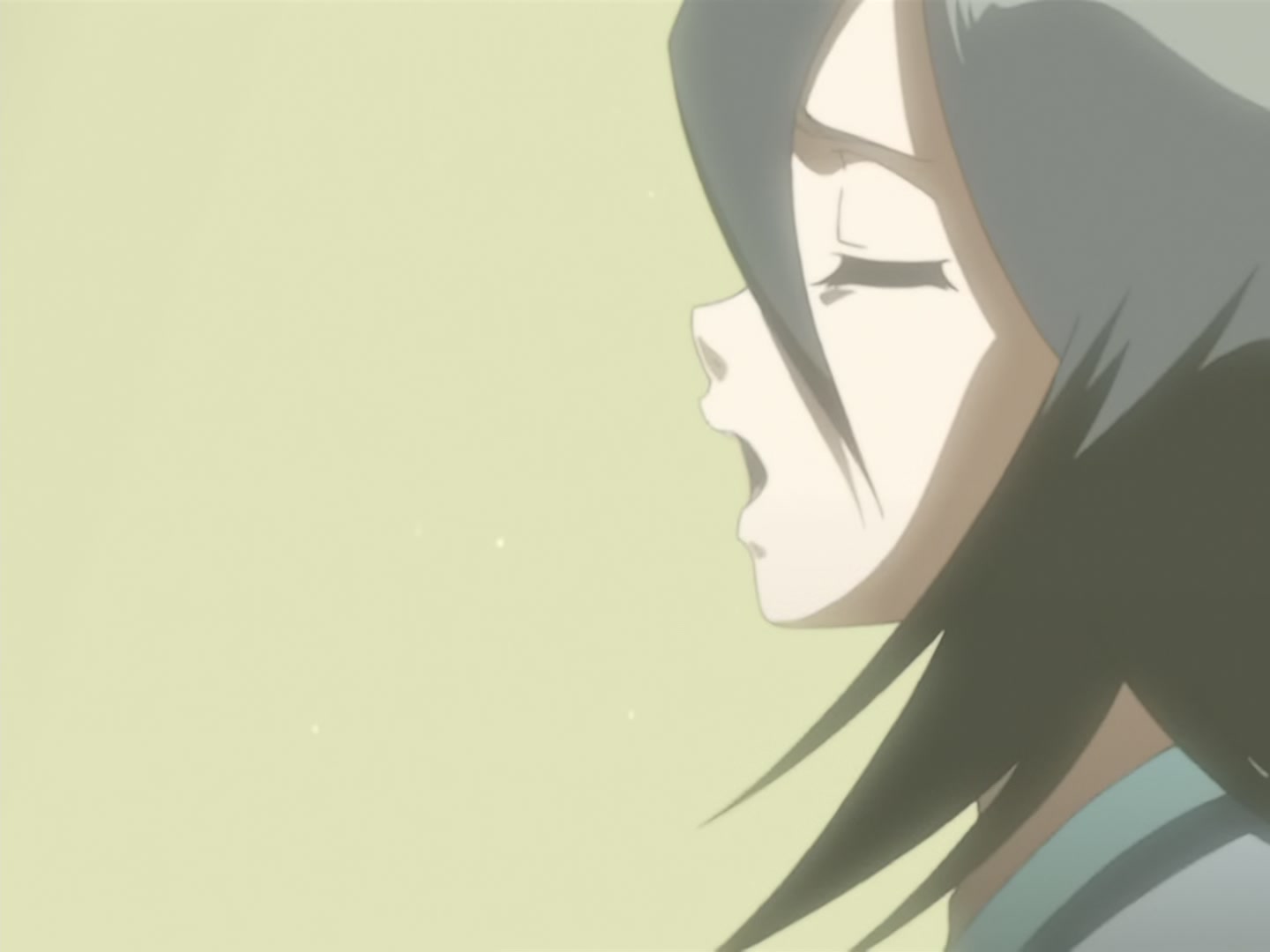 Bleach Ep 2: A Shinigami’s Work @ 00:12:05