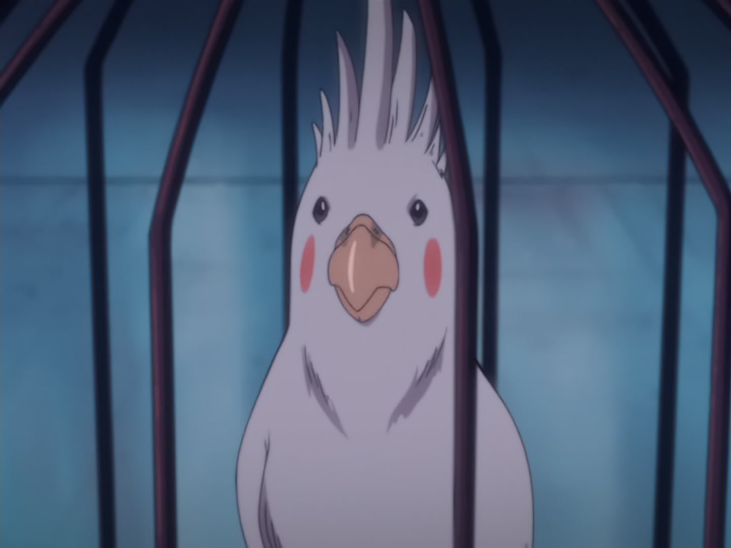 Bleach Ep 4: Cursed Parrot @ 00:01:47