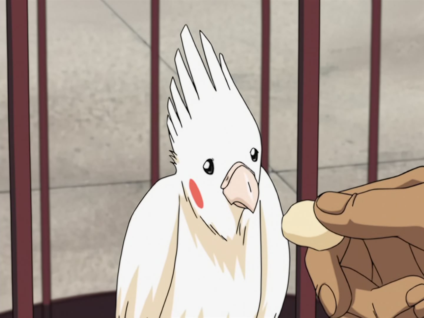 Bleach Ep 4: Cursed Parrot @ 00:07:28