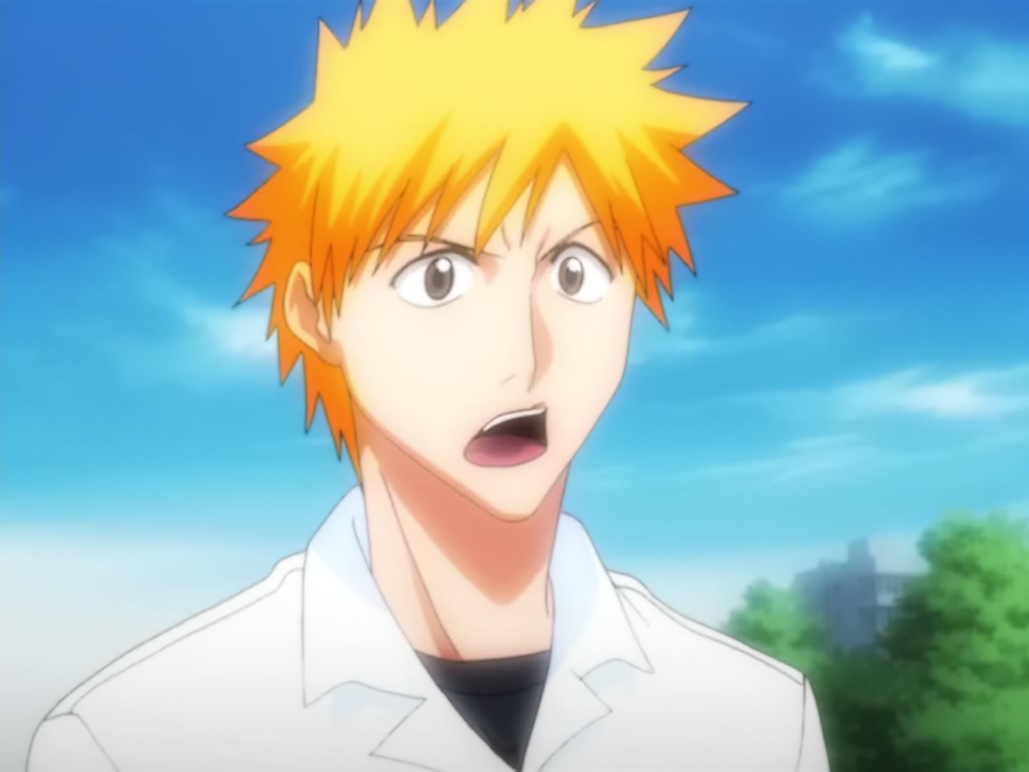 Bleach Ep 13: Flower and Hollow @ 00:01:47