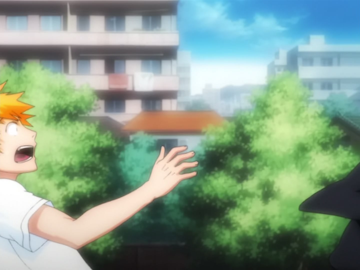 Bleach Ep 13: Flower and Hollow @ 00:02:05