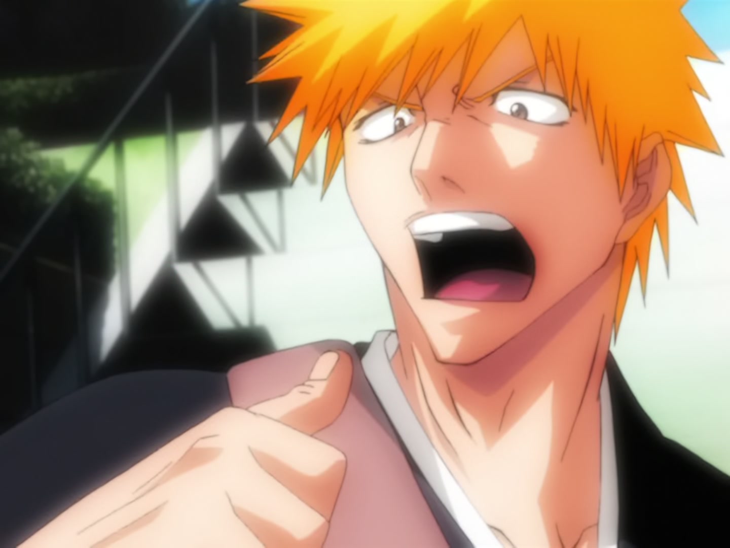 Bleach Ep 14: Back to Back, a Fight to the Death! @ 00:02:10