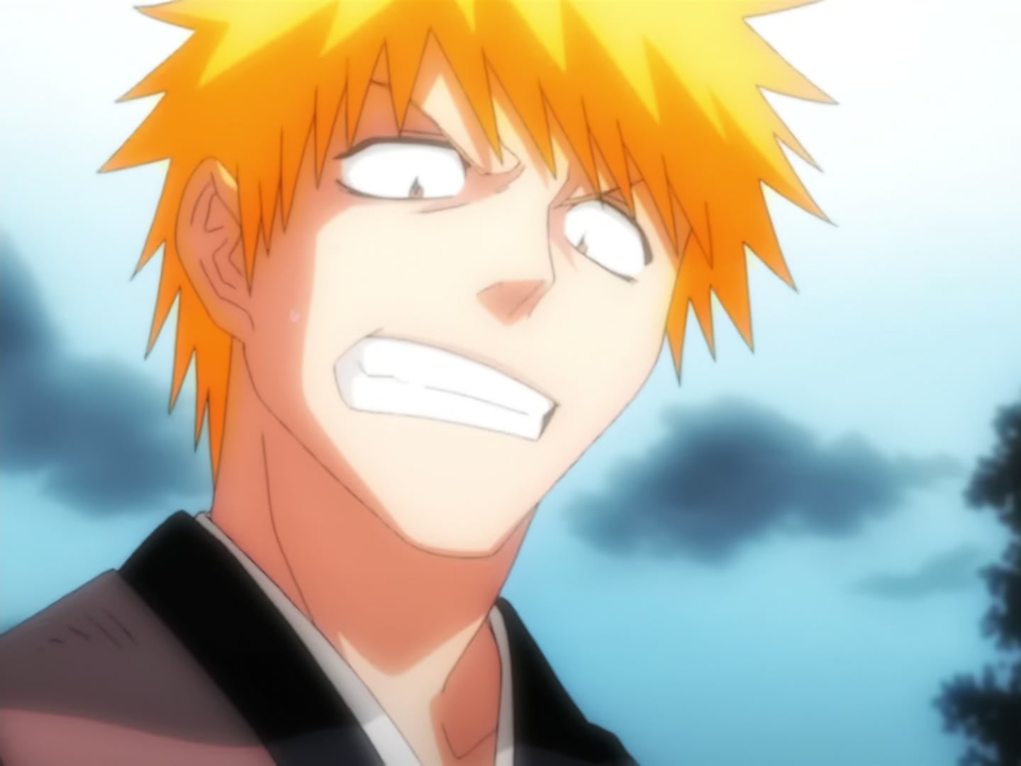 Bleach Ep 14: Back to Back, a Fight to the Death! @ 00:05:09