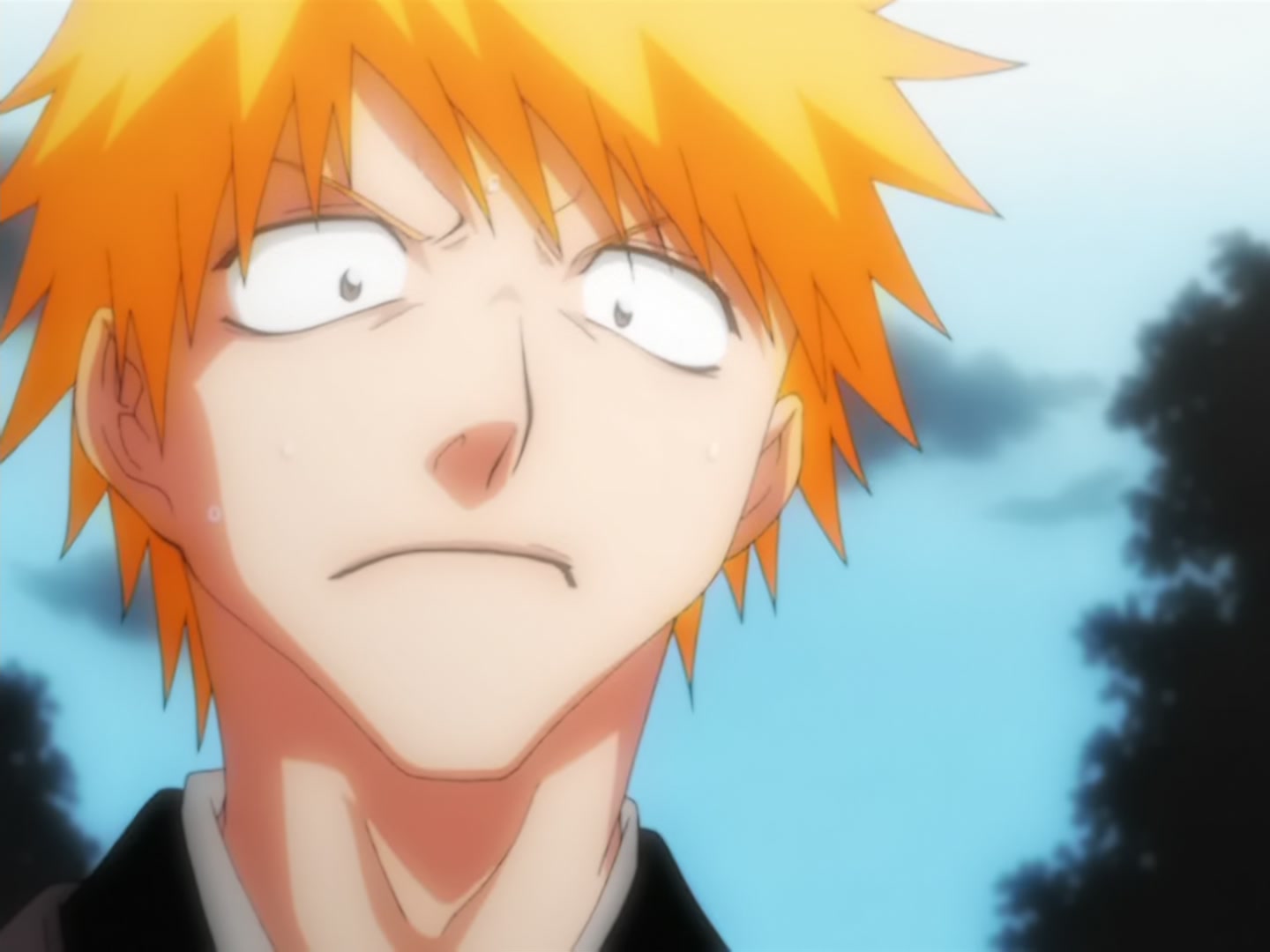 Bleach Ep 14: Back to Back, a Fight to the Death! @ 00:05:45