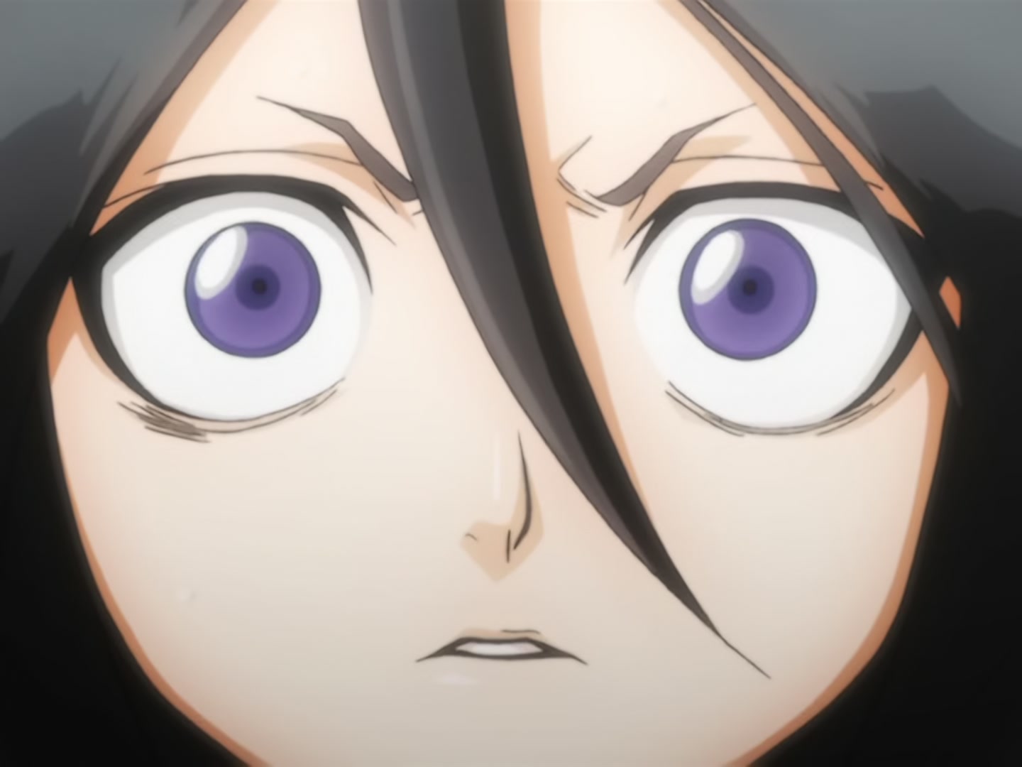 Bleach Ep 14: Back to Back, a Fight to the Death! @ 00:11:03