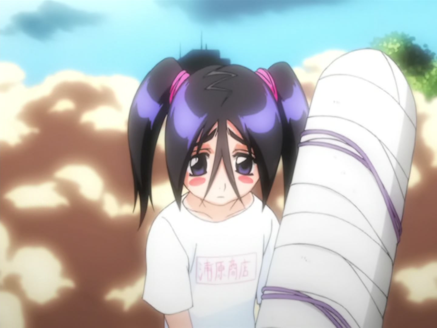 Bleach Ep 14: Back to Back, a Fight to the Death! @ 00:11:34