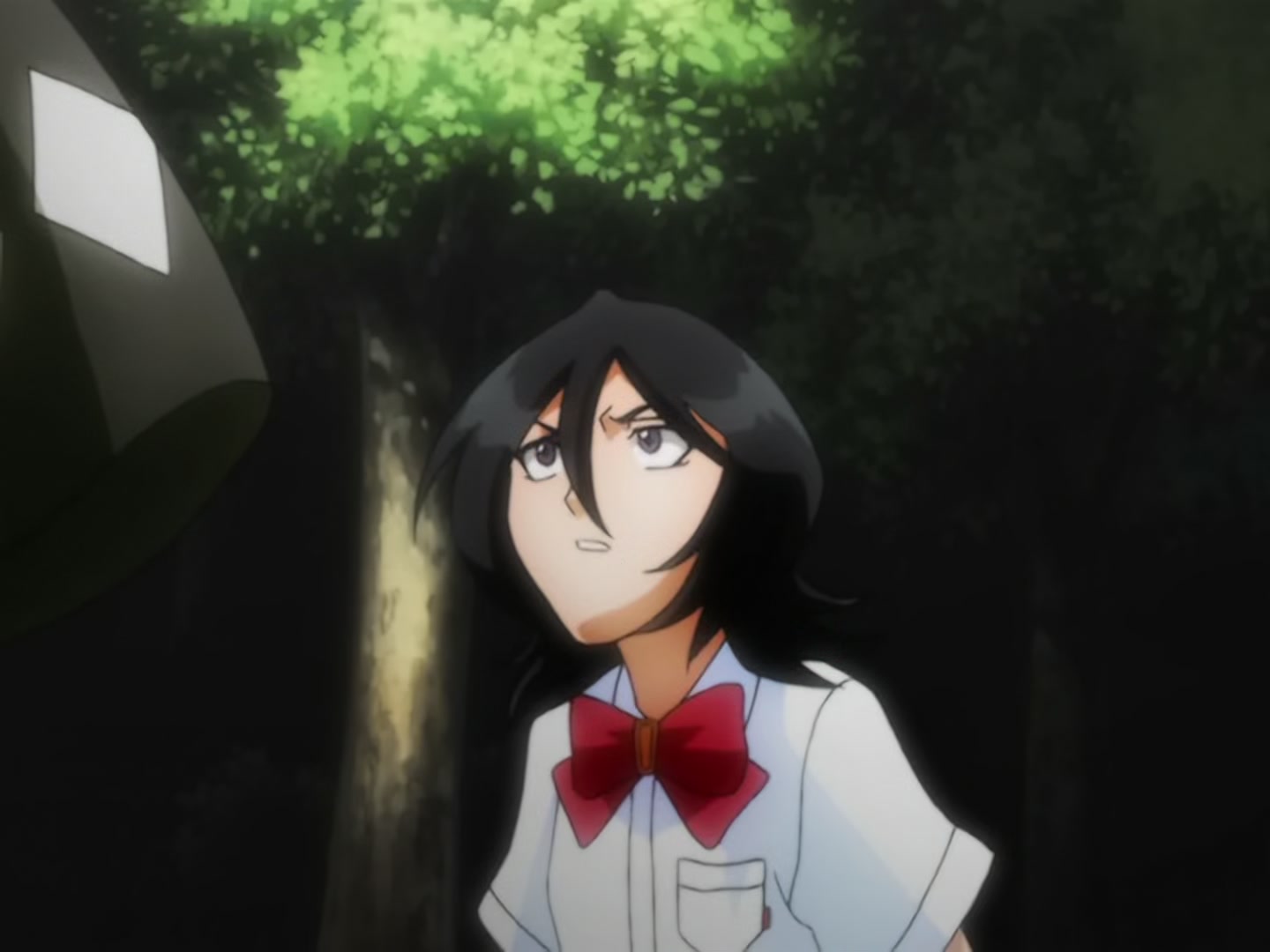Bleach Ep 14: Back to Back, a Fight to the Death! @ 00:13:21