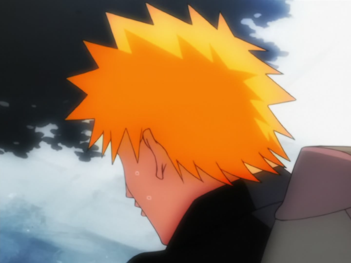 Bleach Ep 14: Back to Back, a Fight to the Death! @ 00:13:53