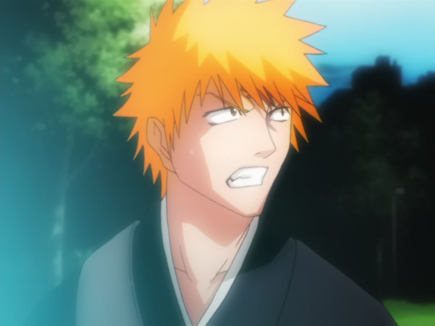 Bleach Ep 14: Back to Back, a Fight to the Death! @ 00:14:33