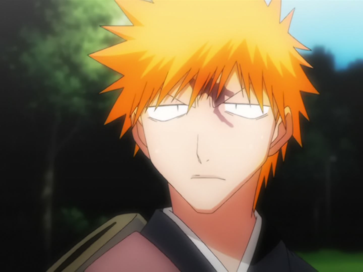 Bleach Ep 14: Back to Back, a Fight to the Death! @ 00:15:45