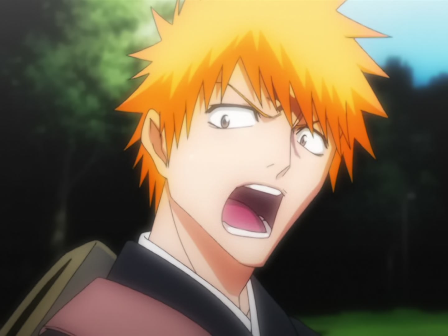 Bleach Ep 14: Back to Back, a Fight to the Death! @ 00:16:16