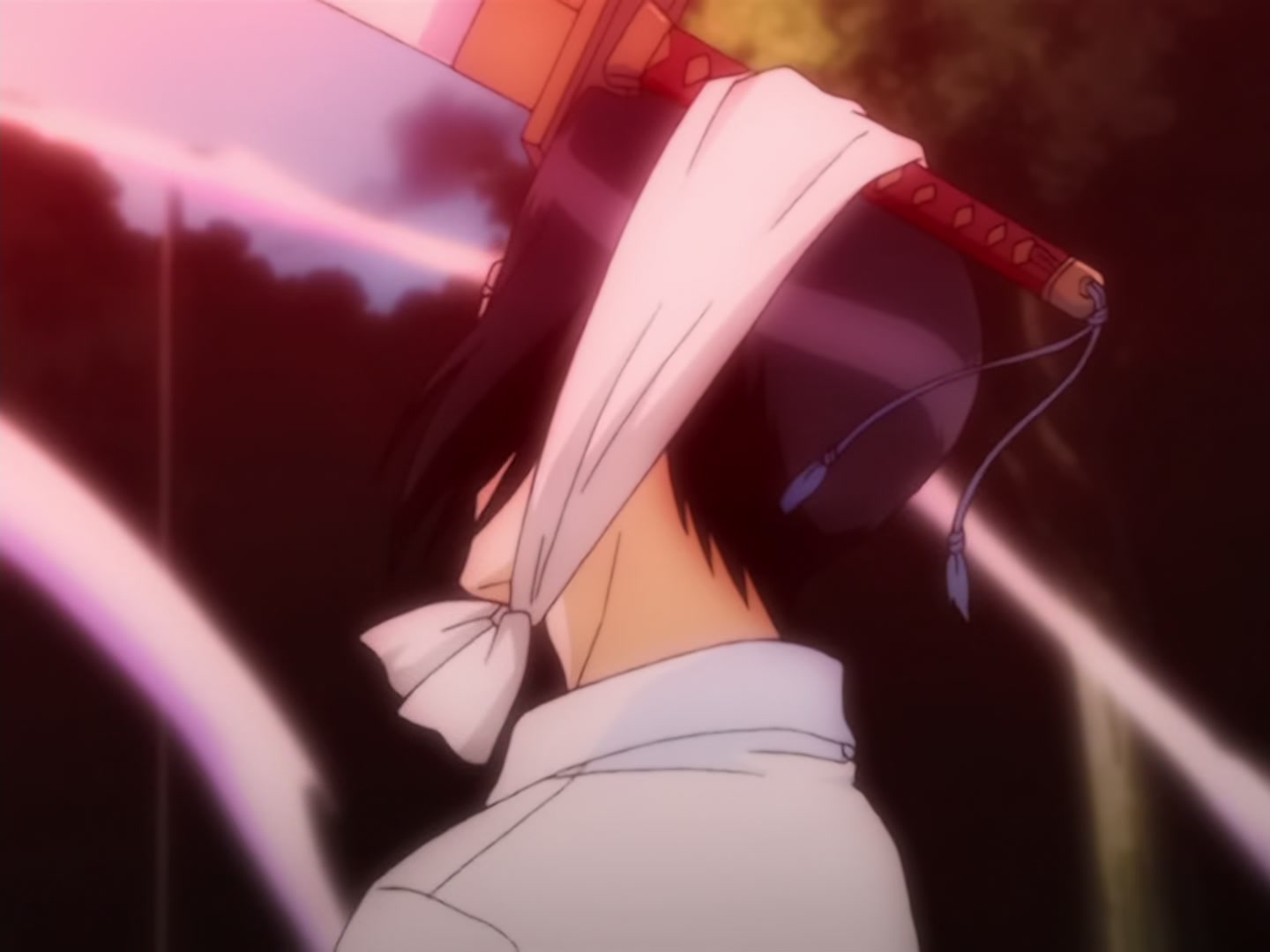 Bleach Ep 14: Back to Back, a Fight to the Death! @ 00:16:43