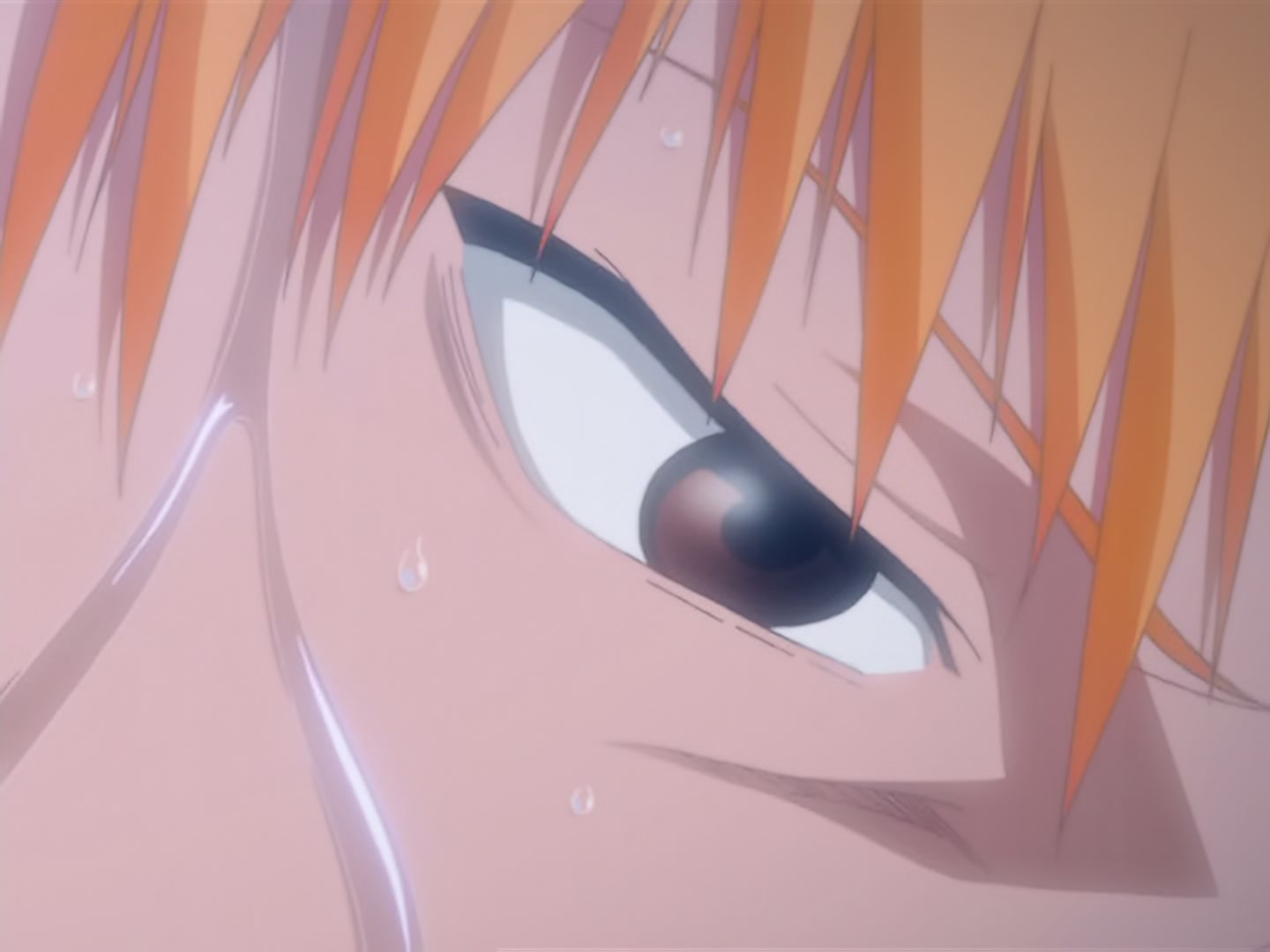 Bleach Ep 17: Ichigo Dies! @ 00:14:56
