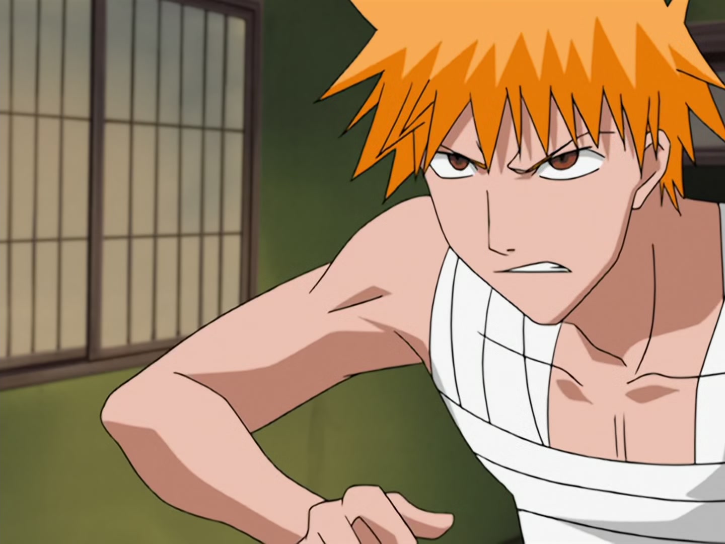 Bleach Ep 17: Ichigo Dies! @ 00:18:54