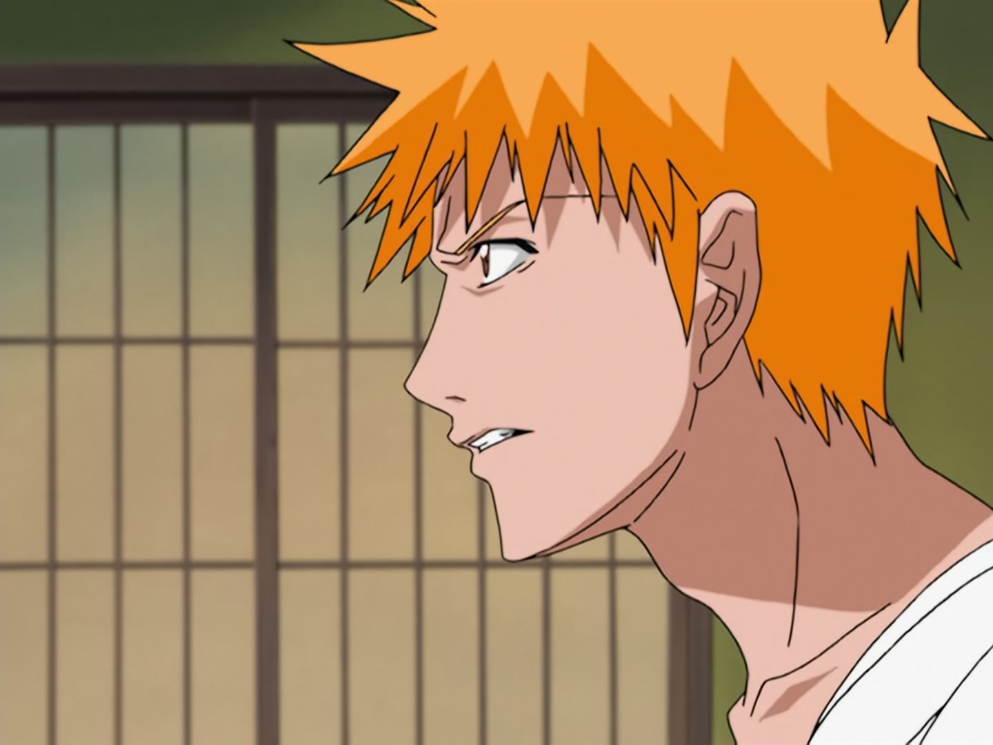 Bleach Ep 17: Ichigo Dies! @ 00:18:58