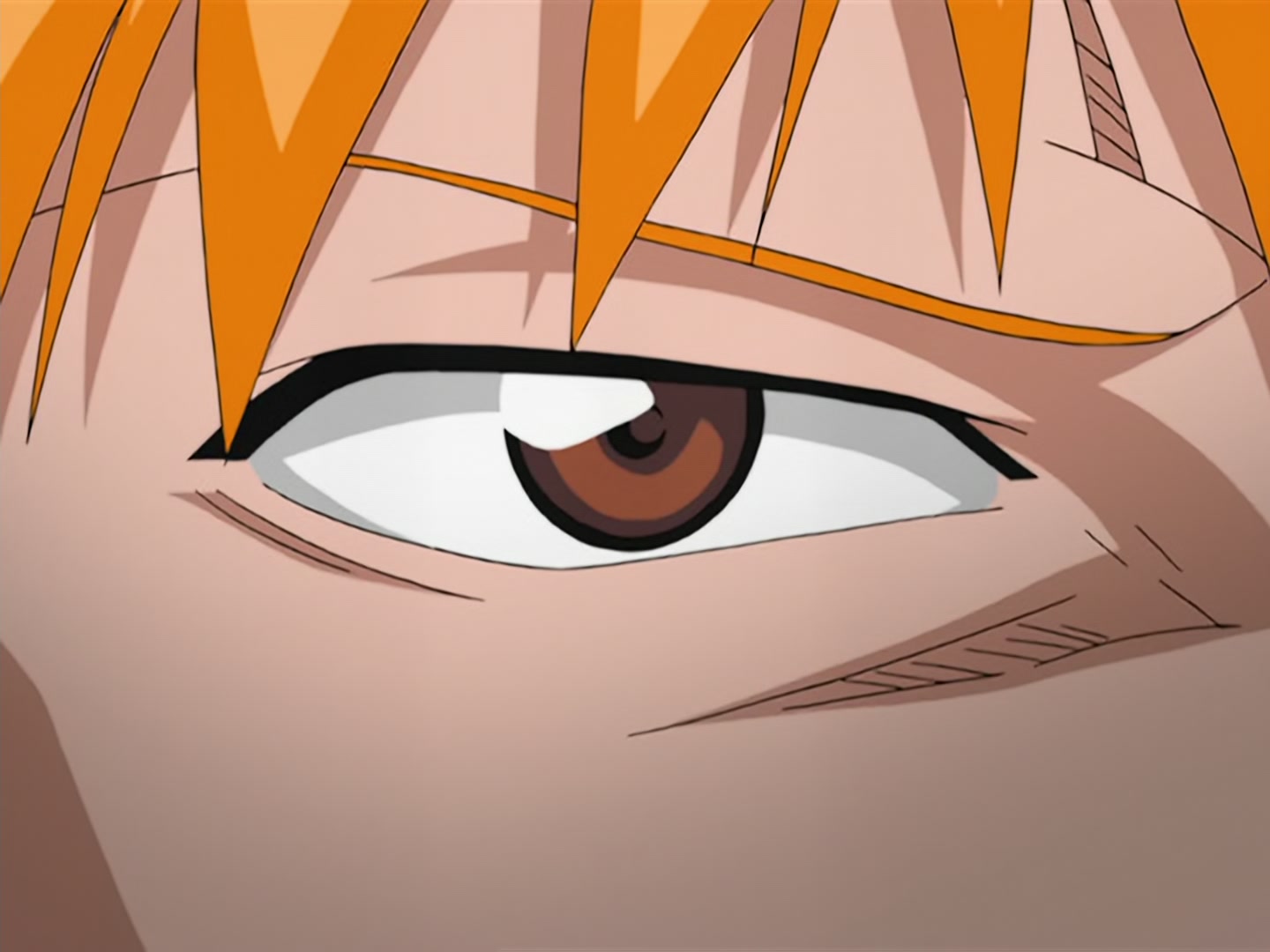 Bleach Ep 17: Ichigo Dies! @ 00:20:28