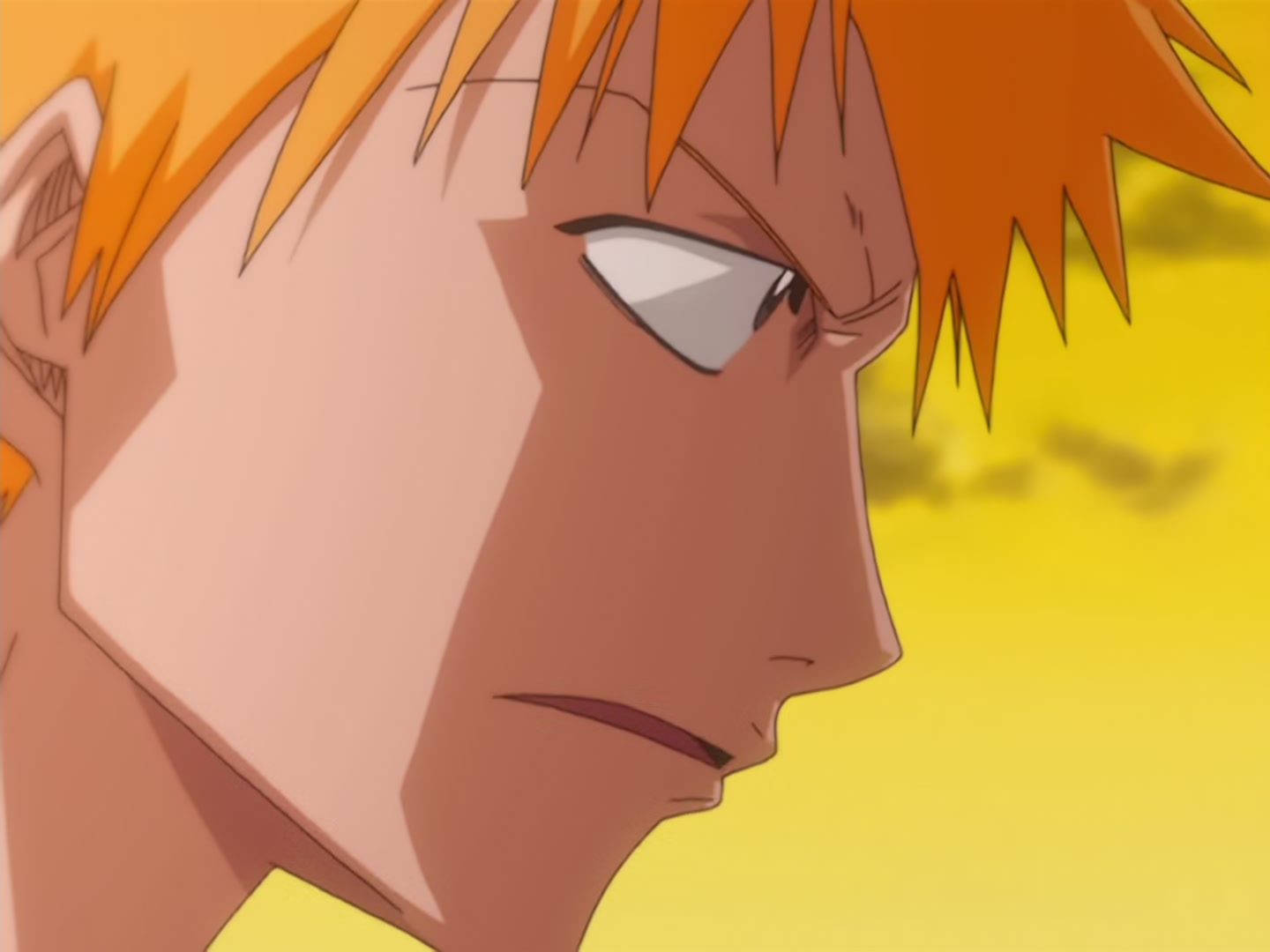 Bleach Ep 18: Reclaim! The Power of the Shinigami @ 00:06:48