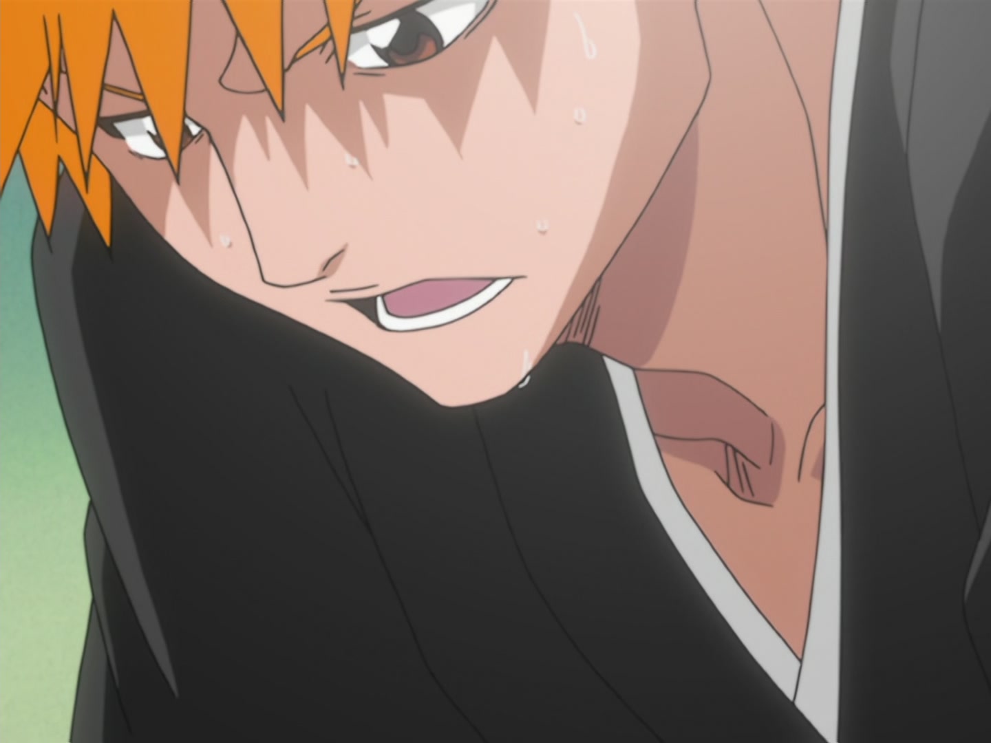 Bleach Ep 24: Assemble! The 13 Divisions @ 00:13:21