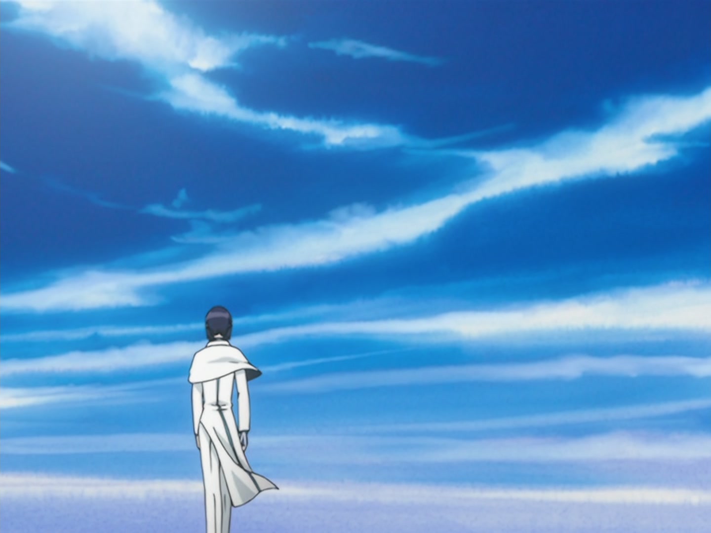 Bleach Ep 29: Breakthrough! The Shinigami's Encompassing Net @ 00:08:04