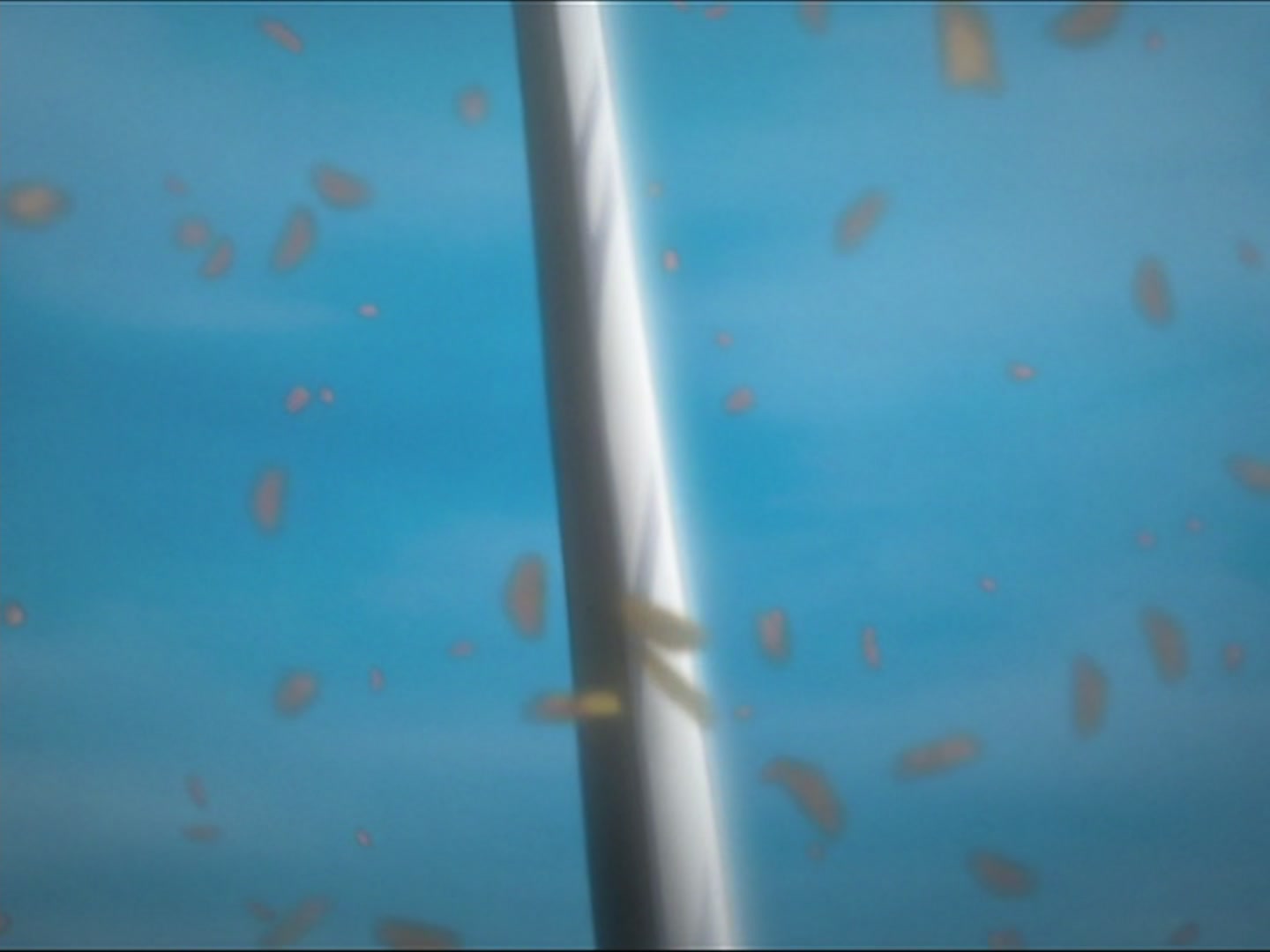 Bleach Ep 31: The Resolution to Kill @ 00:15:31