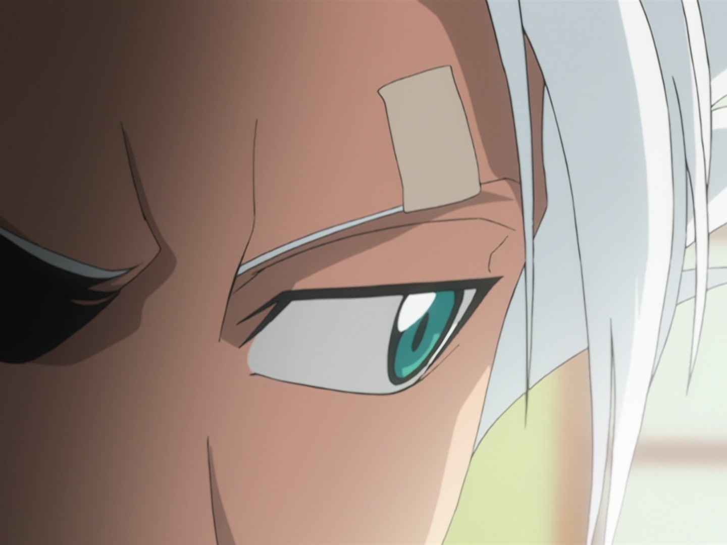 Bleach Ep 48: Hitsugaya Roars! @ 00:13:30
