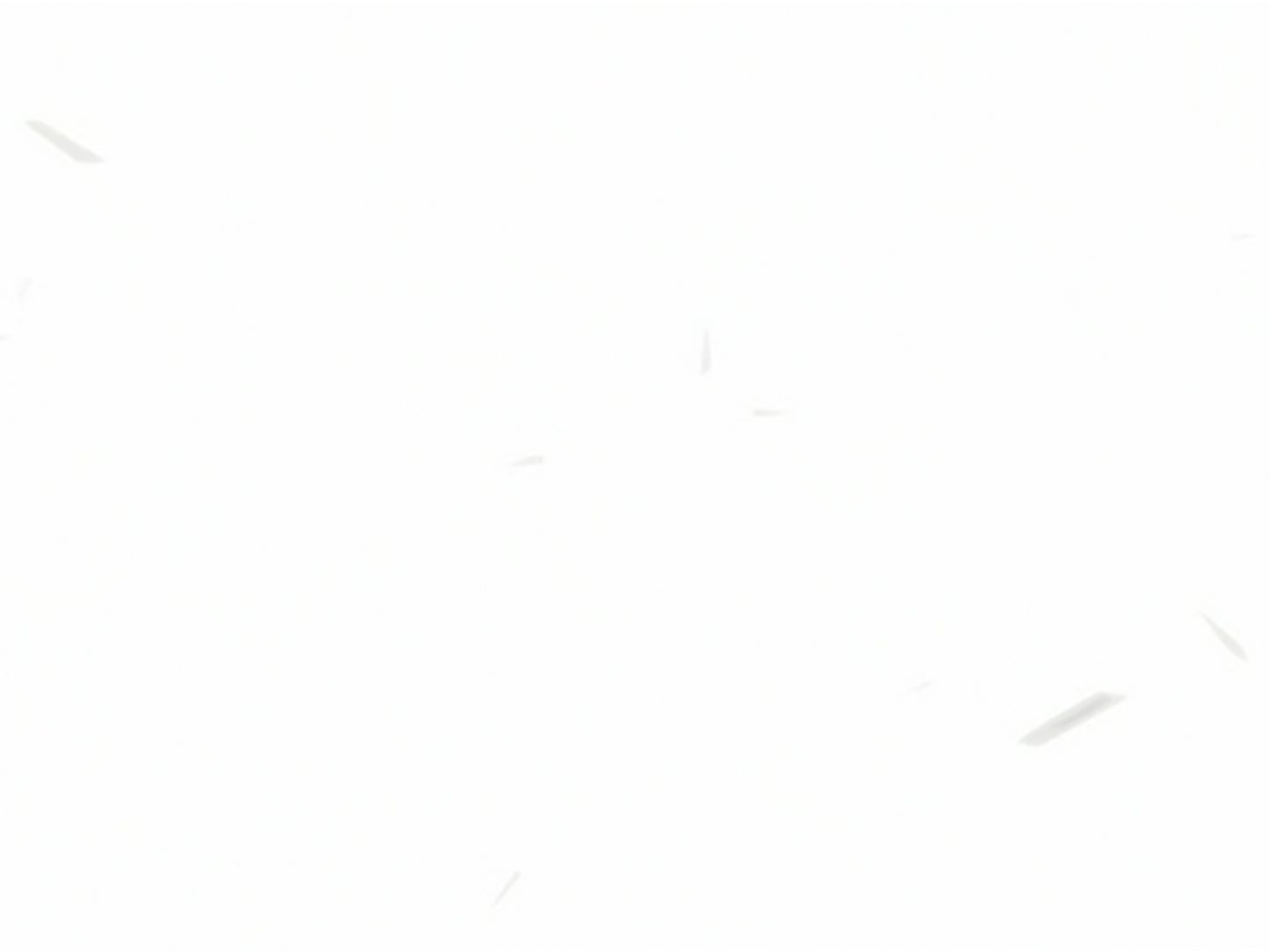 Bleach Ep 54: An Accomplished Oath! @ 00:17:05