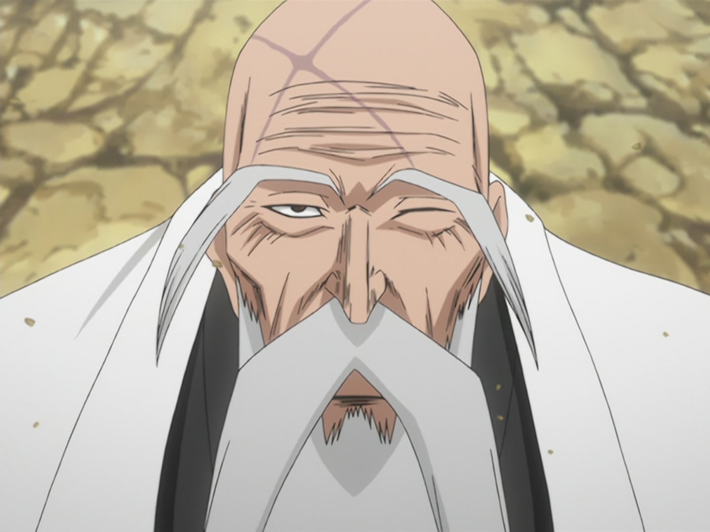Bleach Ep 54: An Accomplished Oath! @ 00:17:49