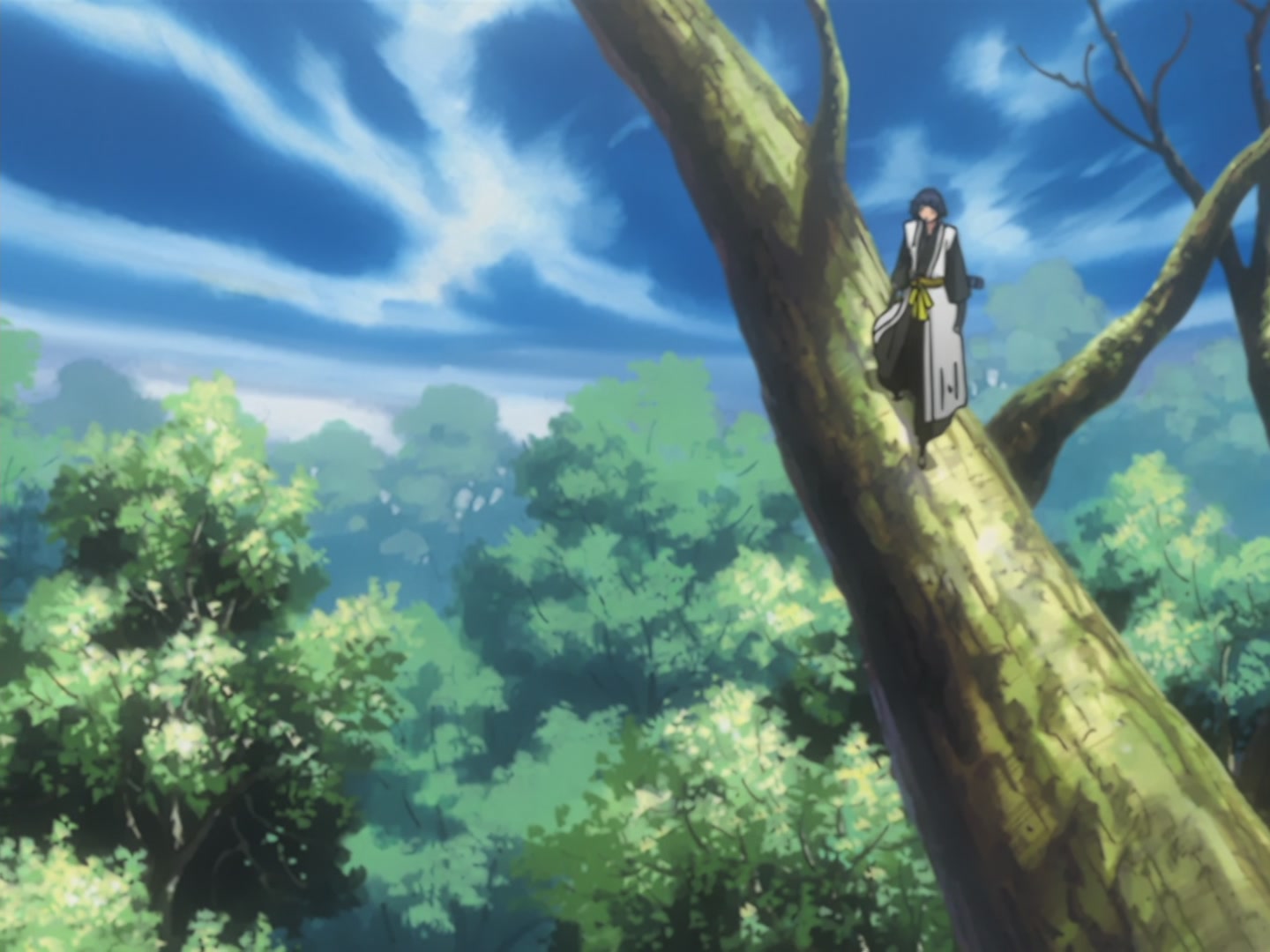 Bleach Ep 56: Supersonic Battle! @ 00:12:03