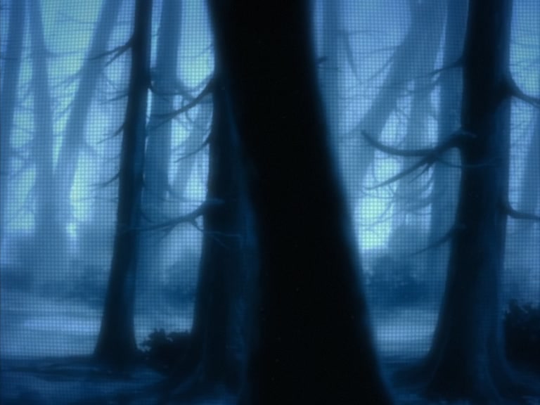 Bleach Ep 78: Shocking Revelations for the 13 Divisions! The Truth Buried in History @ 00:04:05
