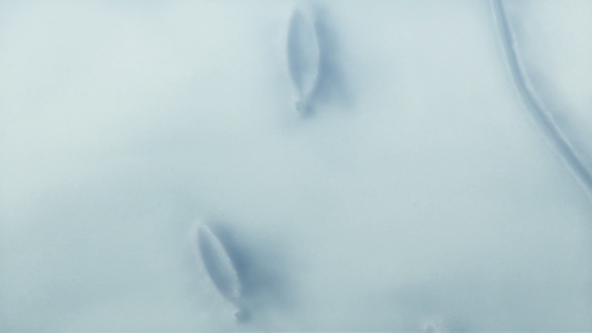 Bleach Ep 203: Karakura Town Gathers! Aizen versus Shinigami @ 00:05:37