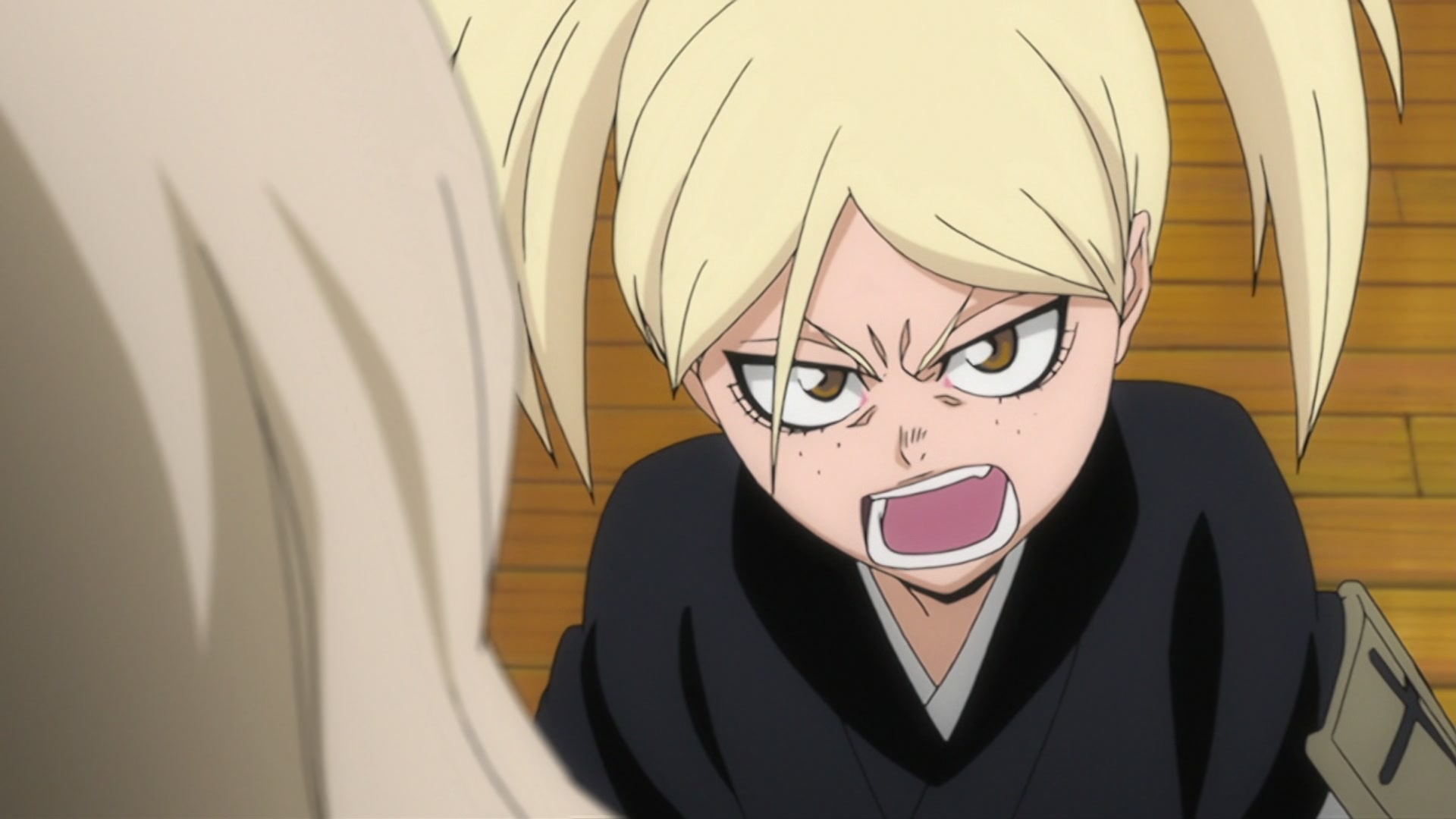 Bleach Ep 207: 12th Division's New Captain, Urahara Kisuke @ 00:05:32