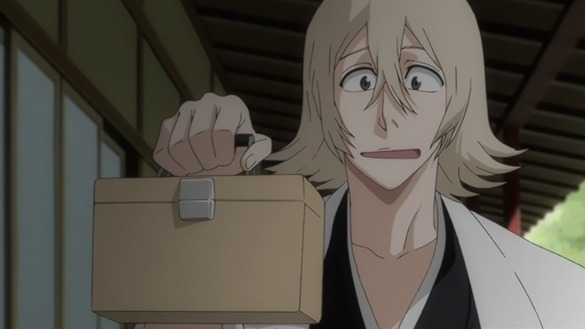 Bleach Ep 207: 12th Division's New Captain, Urahara Kisuke @ 00:09:25