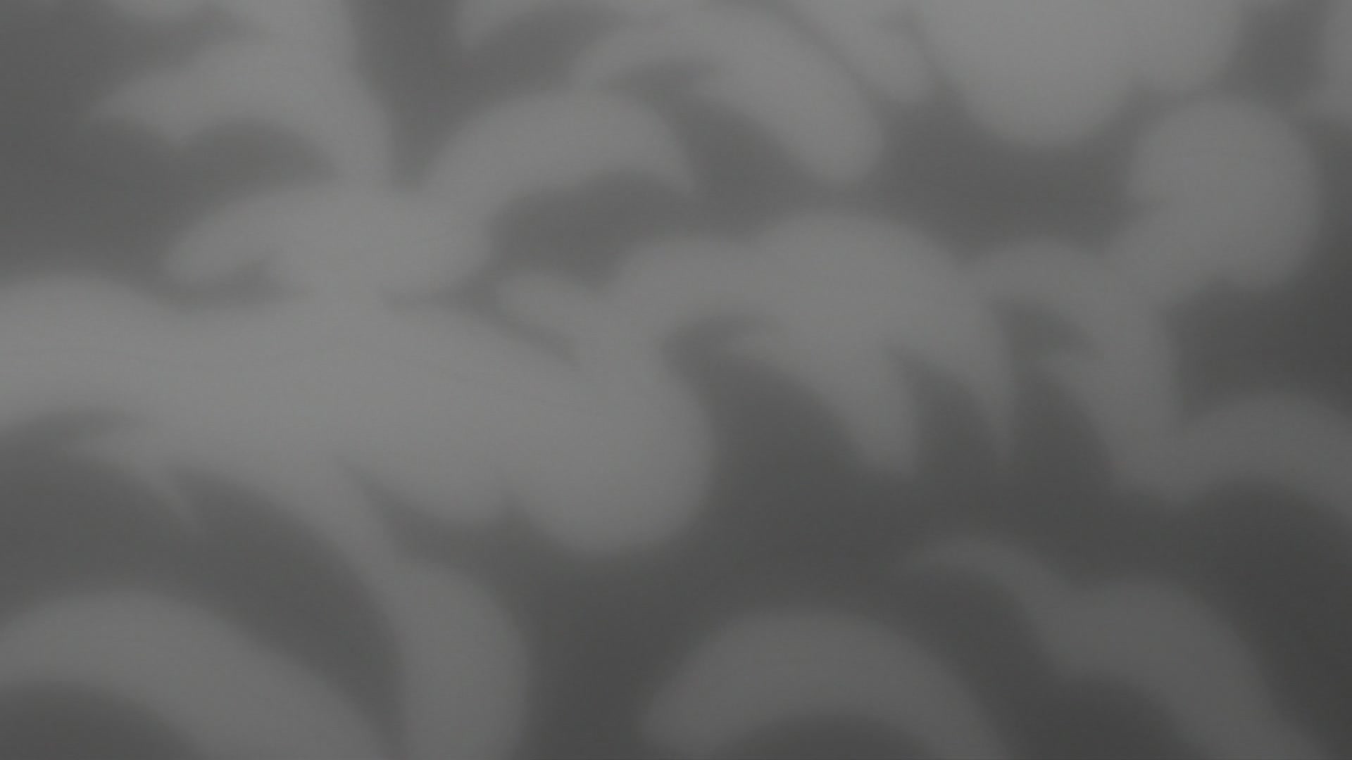 Bleach Ep 220: Ikkaku Falls! The Shinigami's Crisis @ 00:16:20
