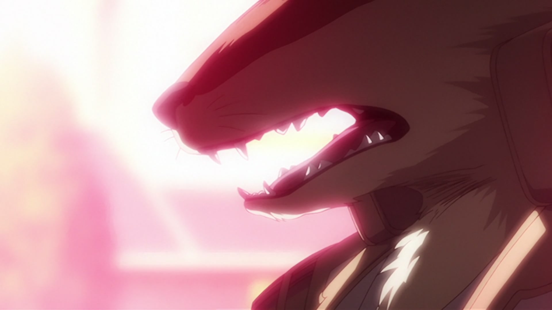 Bleach Ep 220: Ikkaku Falls! The Shinigami's Crisis @ 00:16:53