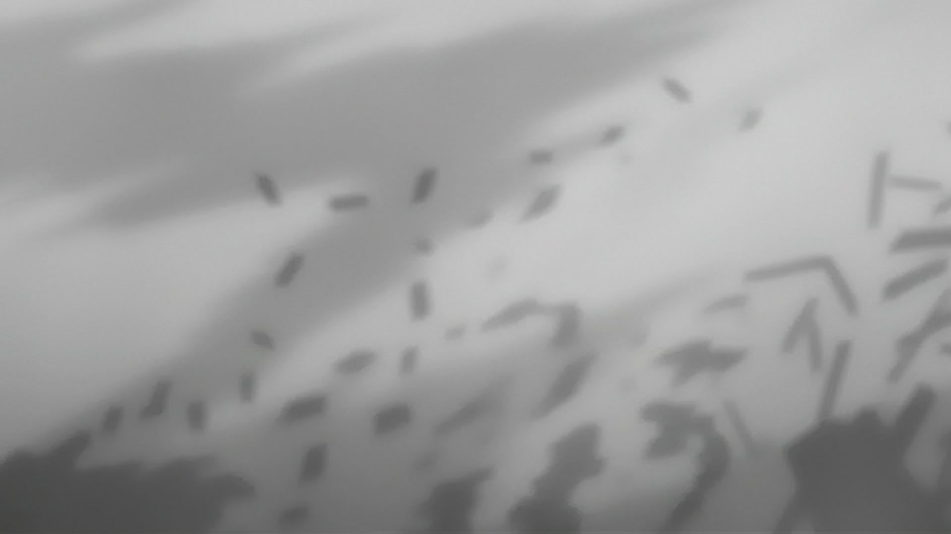 Bleach Ep 220: Ikkaku Falls! The Shinigami's Crisis @ 00:17:21