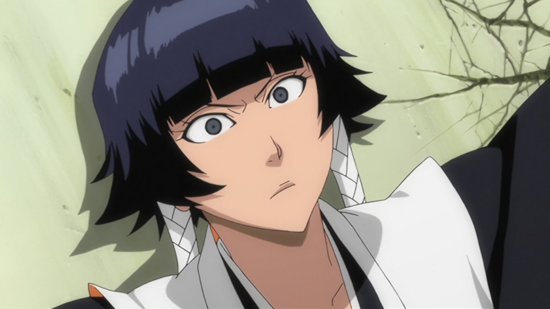 Bleach Ep 223: A Miraculous Body! Ggio Releases @ 00:13:19