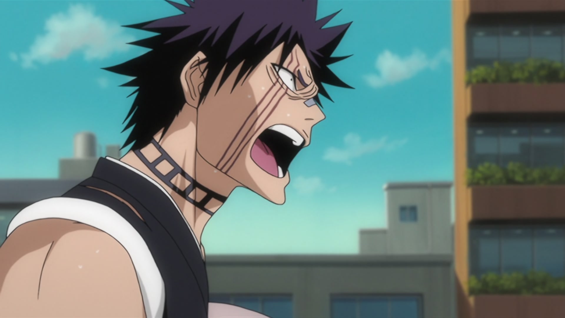 Bleach Ep 225: Vice-Captains Annihilated! The Terrifying Demonic Beast @ 00:19:29