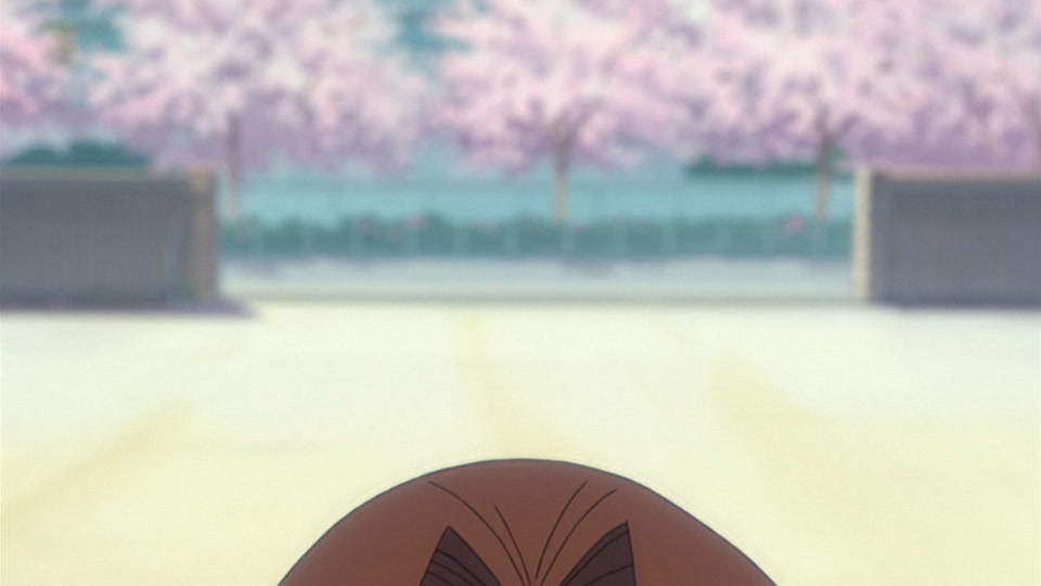 Bleach Ep 227: Wonderful Error @ 00:17:26
