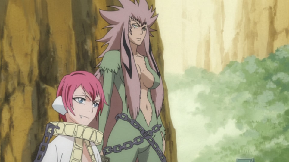 Bleach Ep 235: Clash! Hisagi vs. Kazeshini @ 00:04:26