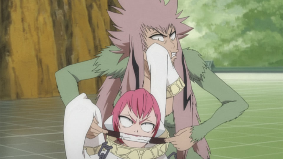 Bleach Ep 235: Clash! Hisagi vs. Kazeshini @ 00:05:04