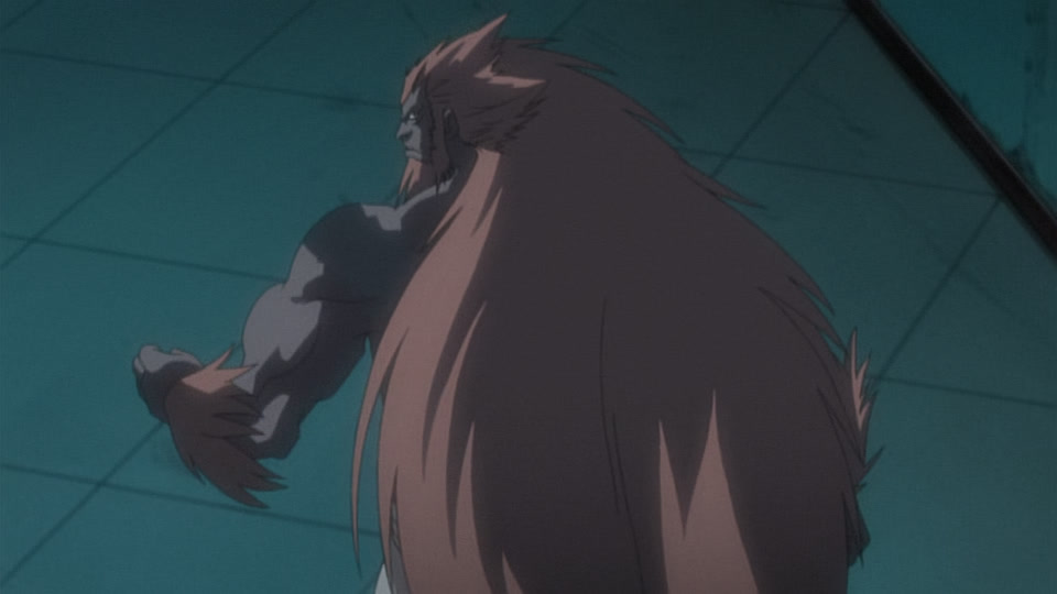 Bleach Ep 238: Friendship? Hatred? Haineko & Tobiume @ 00:02:46