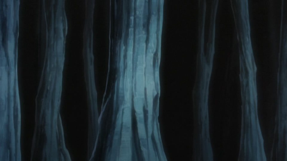 Bleach Ep 238: Friendship? Hatred? Haineko & Tobiume @ 00:05:56
