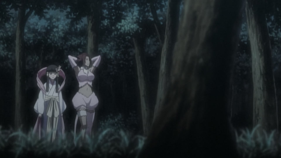 Bleach Ep 238: Friendship? Hatred? Haineko & Tobiume @ 00:07:07