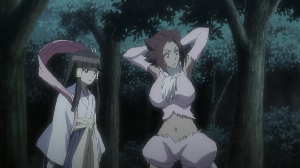 Bleach Ep 238: Friendship? Hatred? Haineko & Tobiume @ 00:07:31