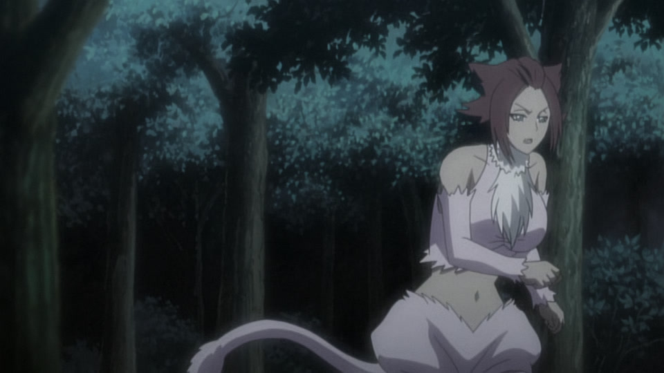 Bleach Ep 238: Friendship? Hatred? Haineko & Tobiume @ 00:07:36