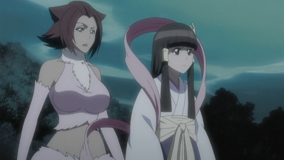 Bleach Ep 238: Friendship? Hatred? Haineko & Tobiume @ 00:09:49