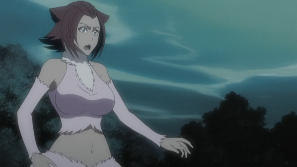 Bleach Ep 238: Friendship? Hatred? Haineko & Tobiume @ 00:10:08