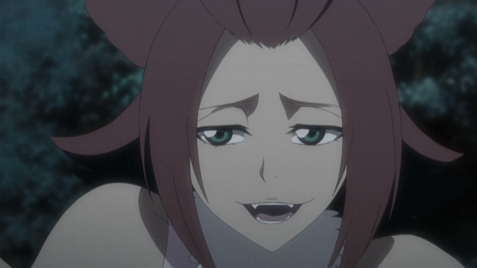 Bleach Ep 238: Friendship? Hatred? Haineko & Tobiume @ 00:11:39