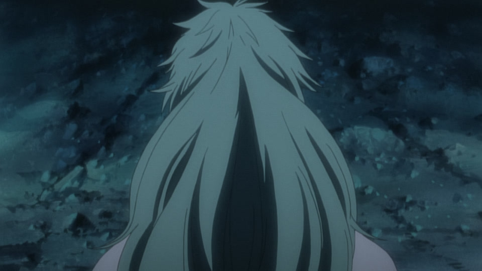 Bleach Ep 238: Friendship? Hatred? Haineko & Tobiume @ 00:20:32